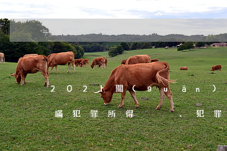 2021關(guān)于審理掩飾、隱瞞犯罪所得、犯罪所得收益刑事案件司法解釋